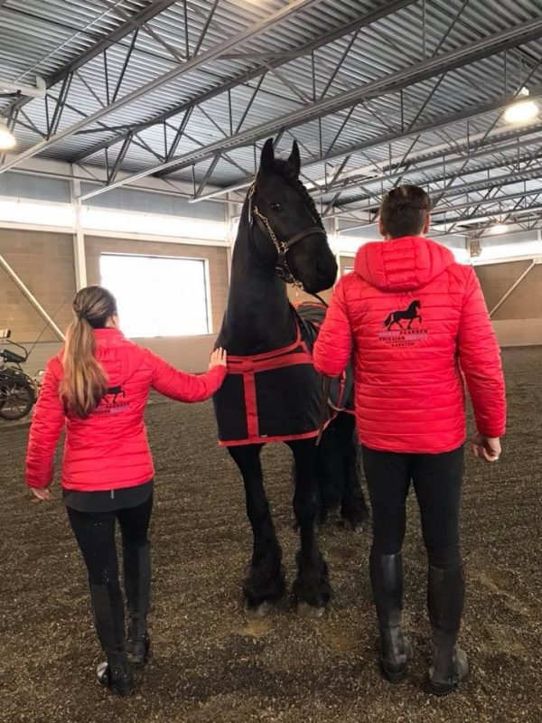 Paardensport, gepersonaliseerd gewatteerd jack met logo Friese Paarden / Frisian Horses, door ZijHaven3, borduurstudio Lemmer